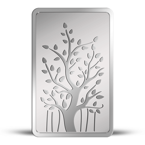 100gm Banyan tree MMTC-Pamp